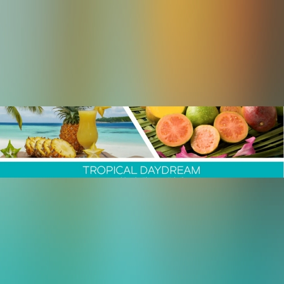 Goose Creek TROPICAL DAYDREAM Large 3-Wick Scented Candle, 14.5 oz - Picture 5 of 5